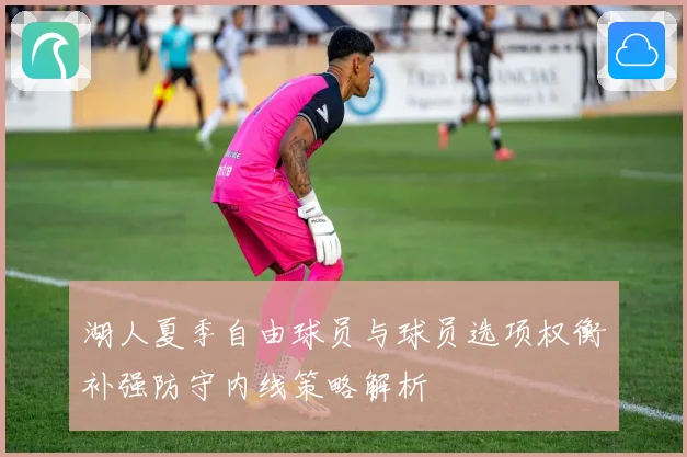 湖人夏季自由球员与球员选项权衡补强防守内线策略解析