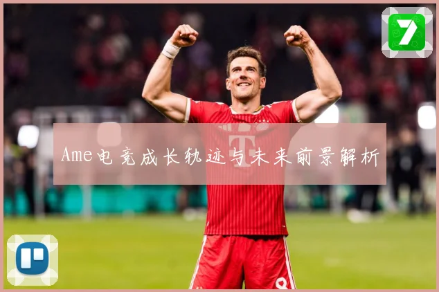 Ame电竞成长轨迹与未来前景解析